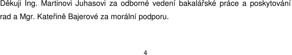 vedení bakalářské práce a