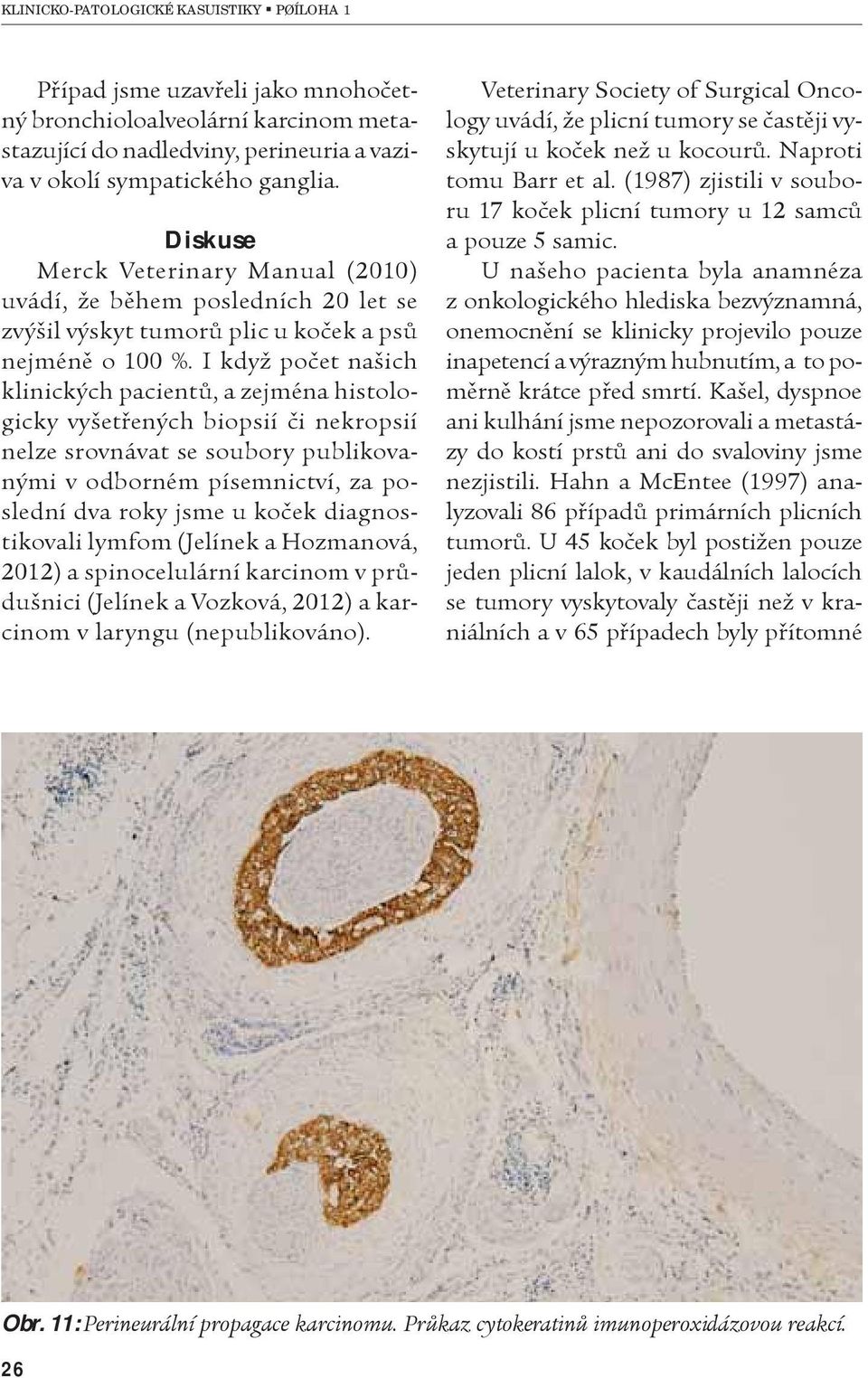 I když poèet našich klinických pacientù, a zejména histologicky vyšetøených biopsií èi nekropsií nelze srovnávat se soubory publikovanými v odborném písemnictví, za poslední dva roky jsme u koèek