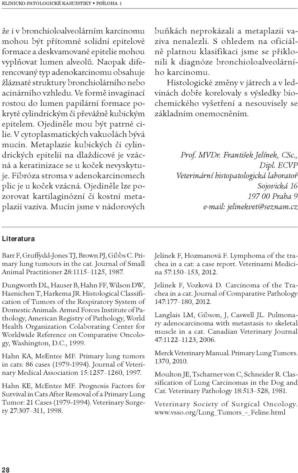 Ve formì invaginací rostou do lumen papilární formace pokryté cylindrickým èi pøevážnì kubickým epitelem. Ojedinìle mou být patrné cilie. V cytoplasmatických vakuolách bývá mucín.