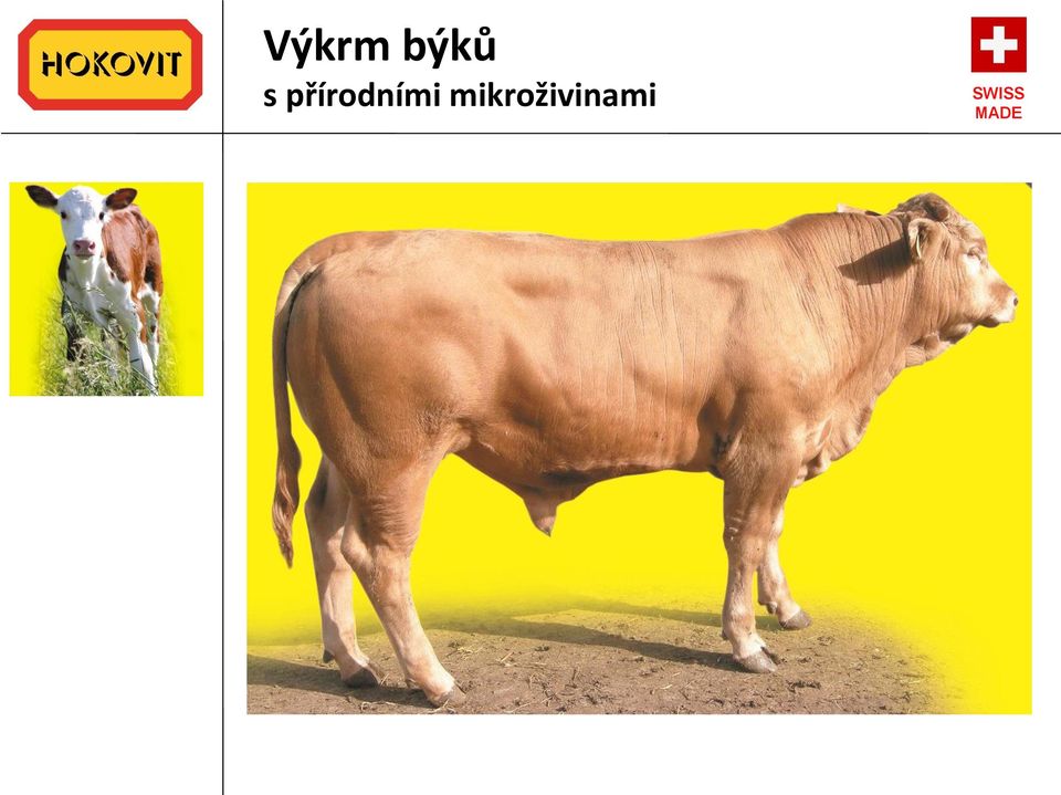 přírodními