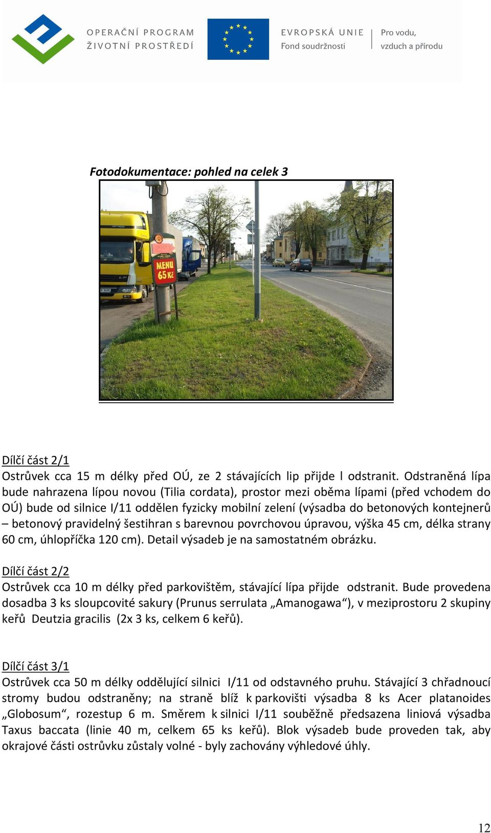 betonový pravidelný šestihran s barevnou povrchovou úpravou, výška 45 cm, délka strany 60 cm, úhlopříčka 120 cm). Detail výsadeb je na samostatném obrázku.