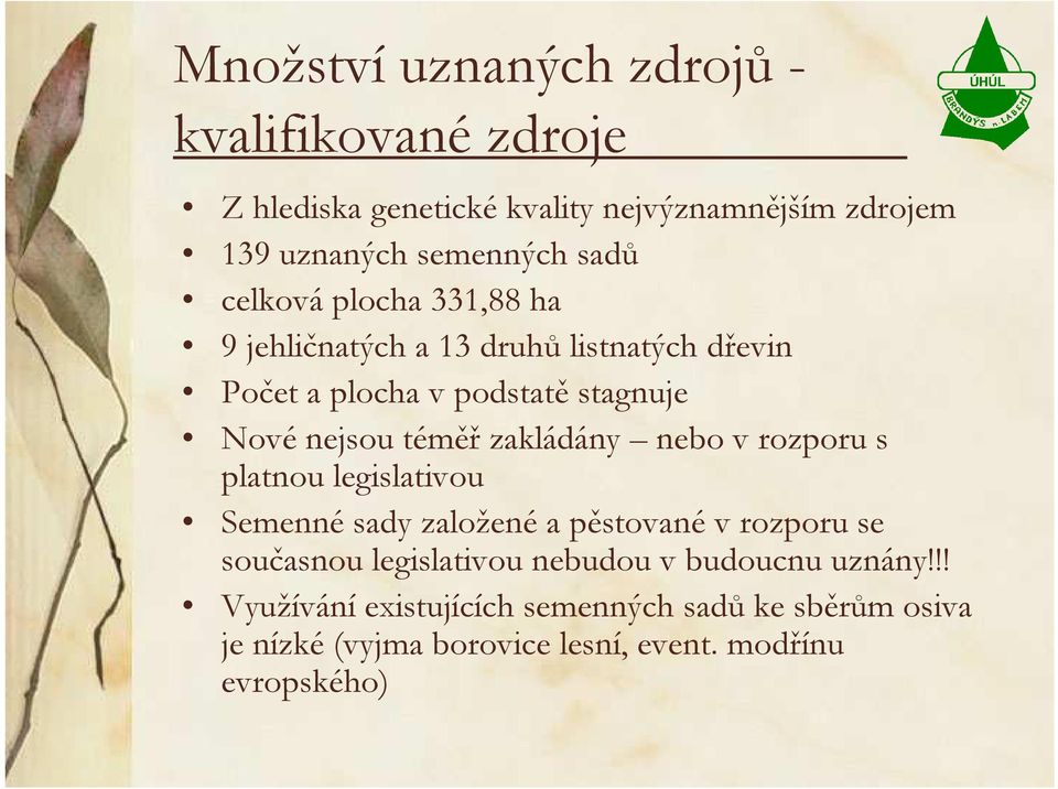 zakládány nebo v rozporu s platnou legislativou Semenné sady založené a pěstované v rozporu se současnou legislativou nebudou v