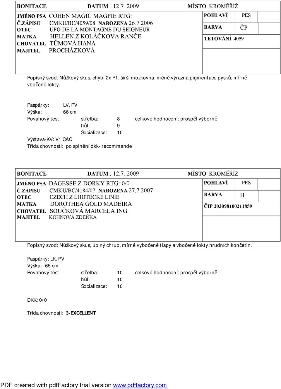 pigmentace pysků, mírně vbočené lokty. Paspárky: LV, PV Výška: 66 cm hůl: 9 Výstava-KV: V1 CAC Třída chovnosti: po splnění dkk- recommande JMÉNO PSA DAGESSE Z DORKY RTG: 0/0 Č.