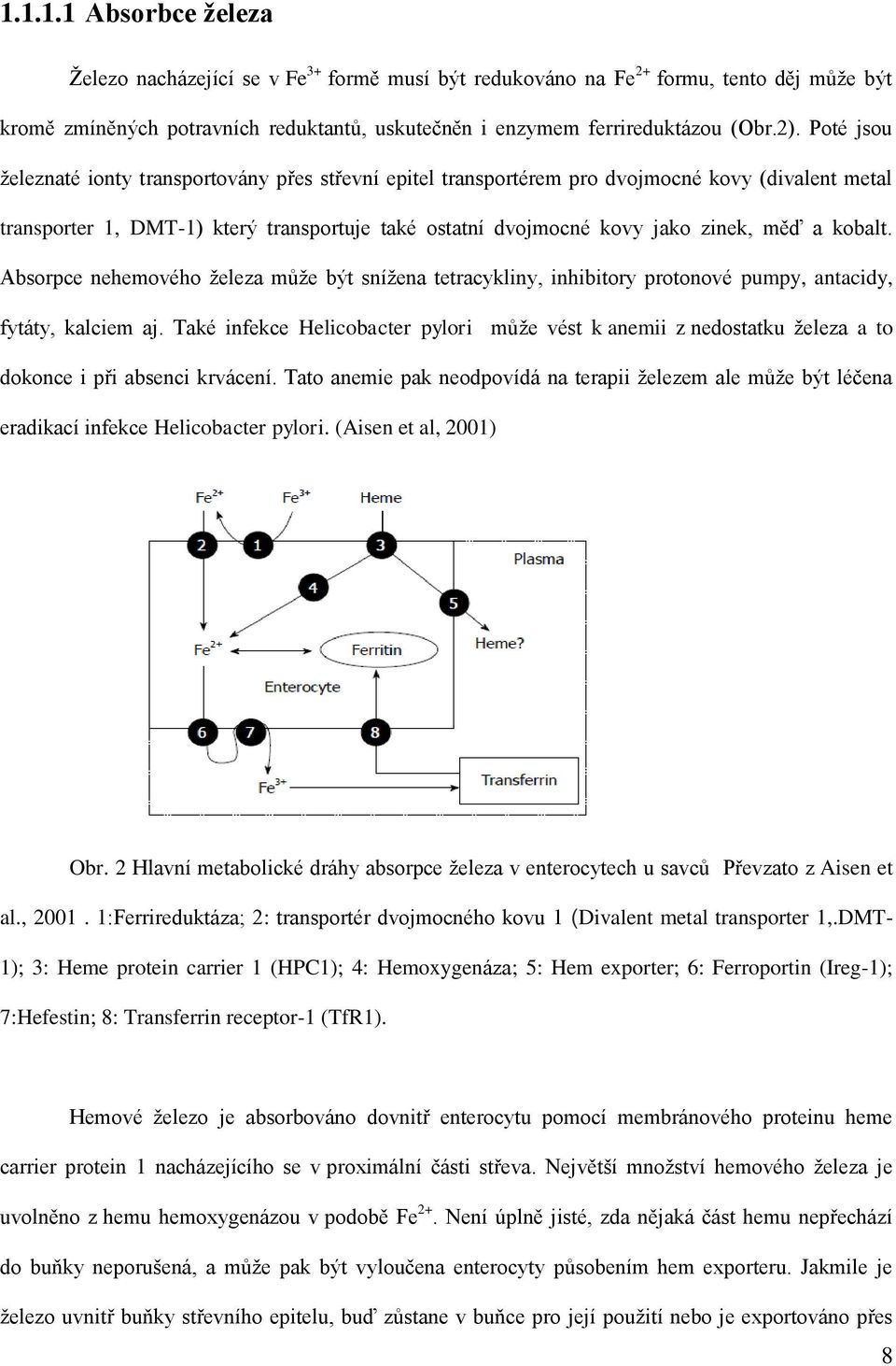 kobalt. Absorpce nehemového železa může být snížena tetracykliny, inhibitory protonové pumpy, antacidy, fytáty, kalciem aj.