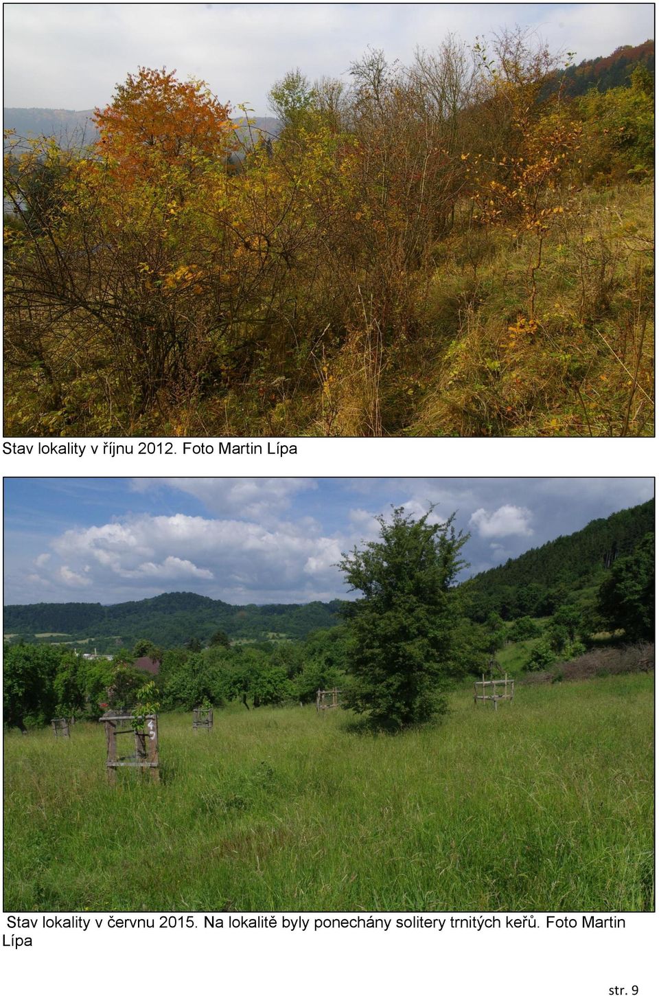 červnu 2015.
