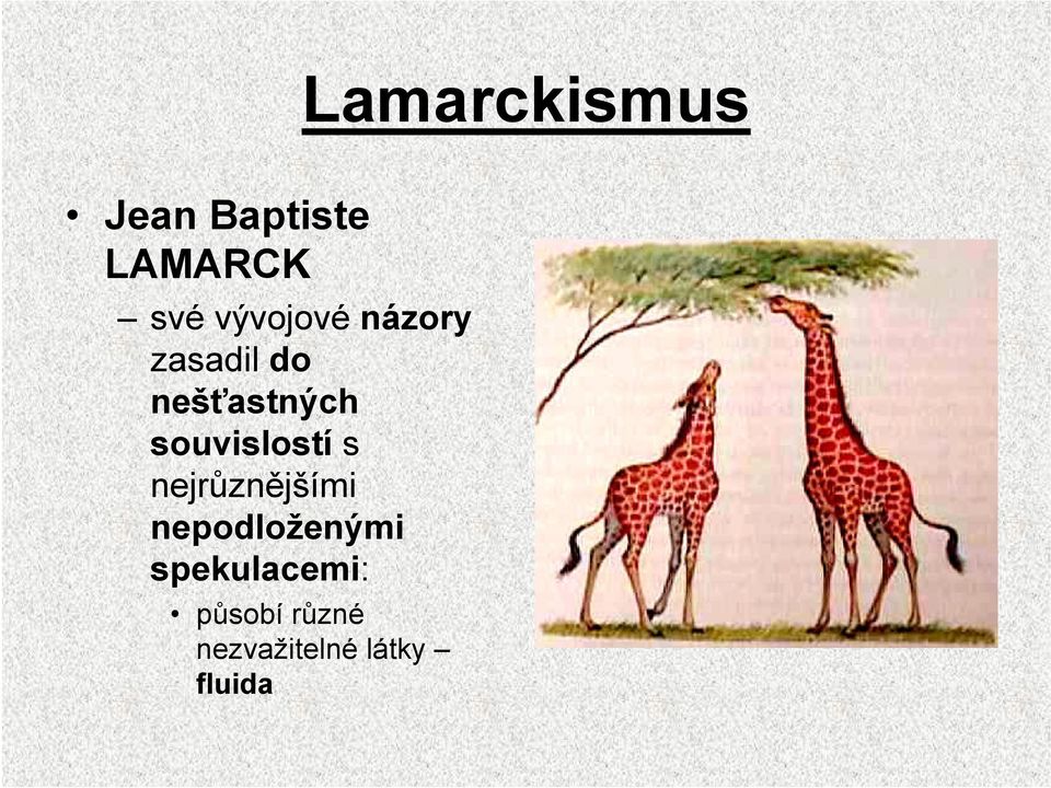 souvislostí s nejrůznějšími nepodloženými