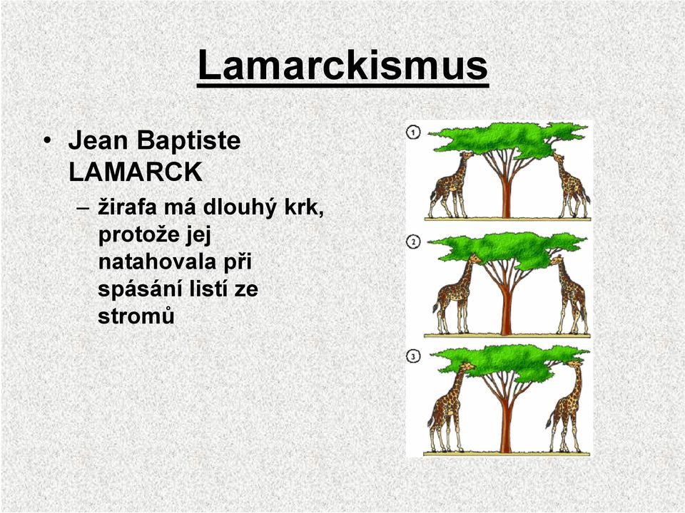 krk, protože jej
