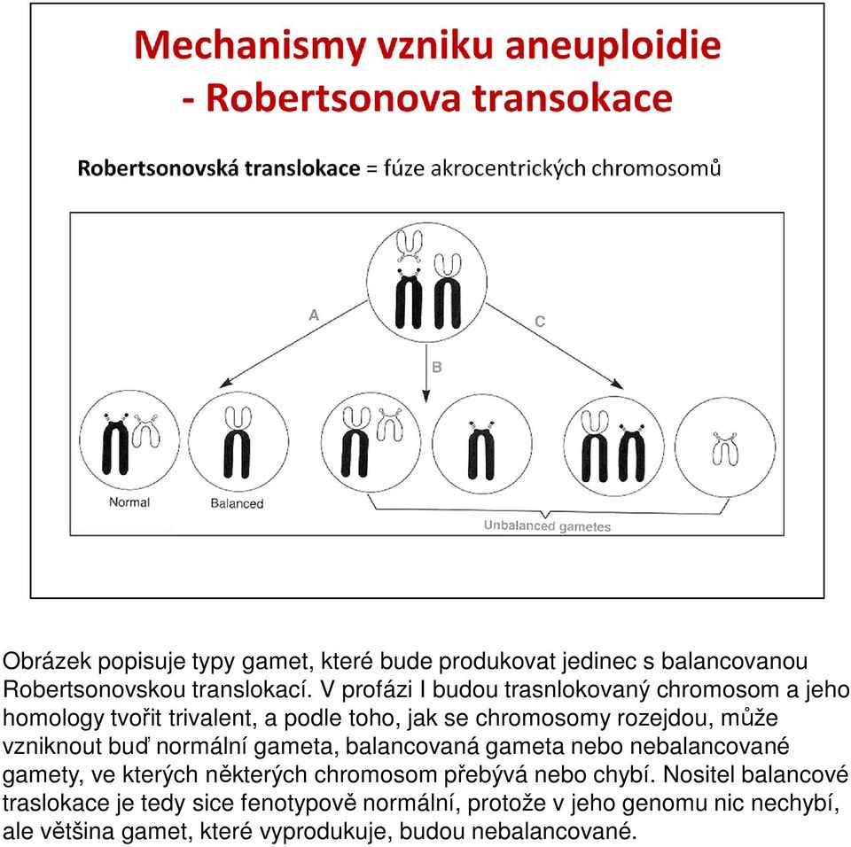 vzniknout buď normální gameta, balancovaná gameta nebo nebalancované gamety, ve kterých některých chromosom přebývá nebo chybí.
