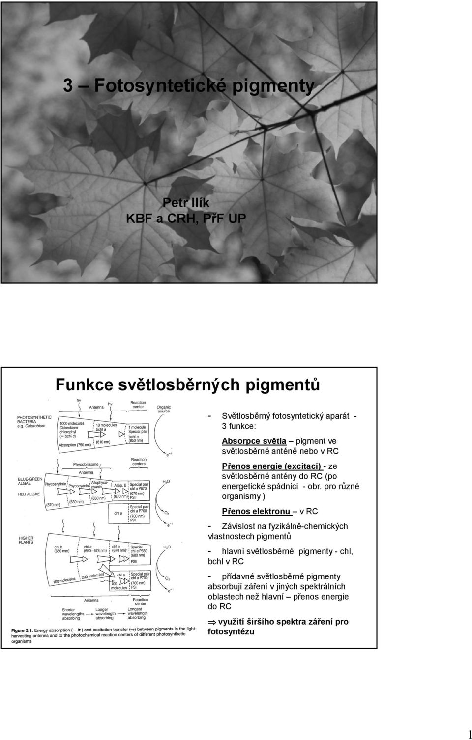 pro různé organismy ) Přenos elektronu v RC - Závislost na fyzikálně-chemických vlastnostech pigmentů - hlavní světlosběrné pigmenty - chl, bchl v
