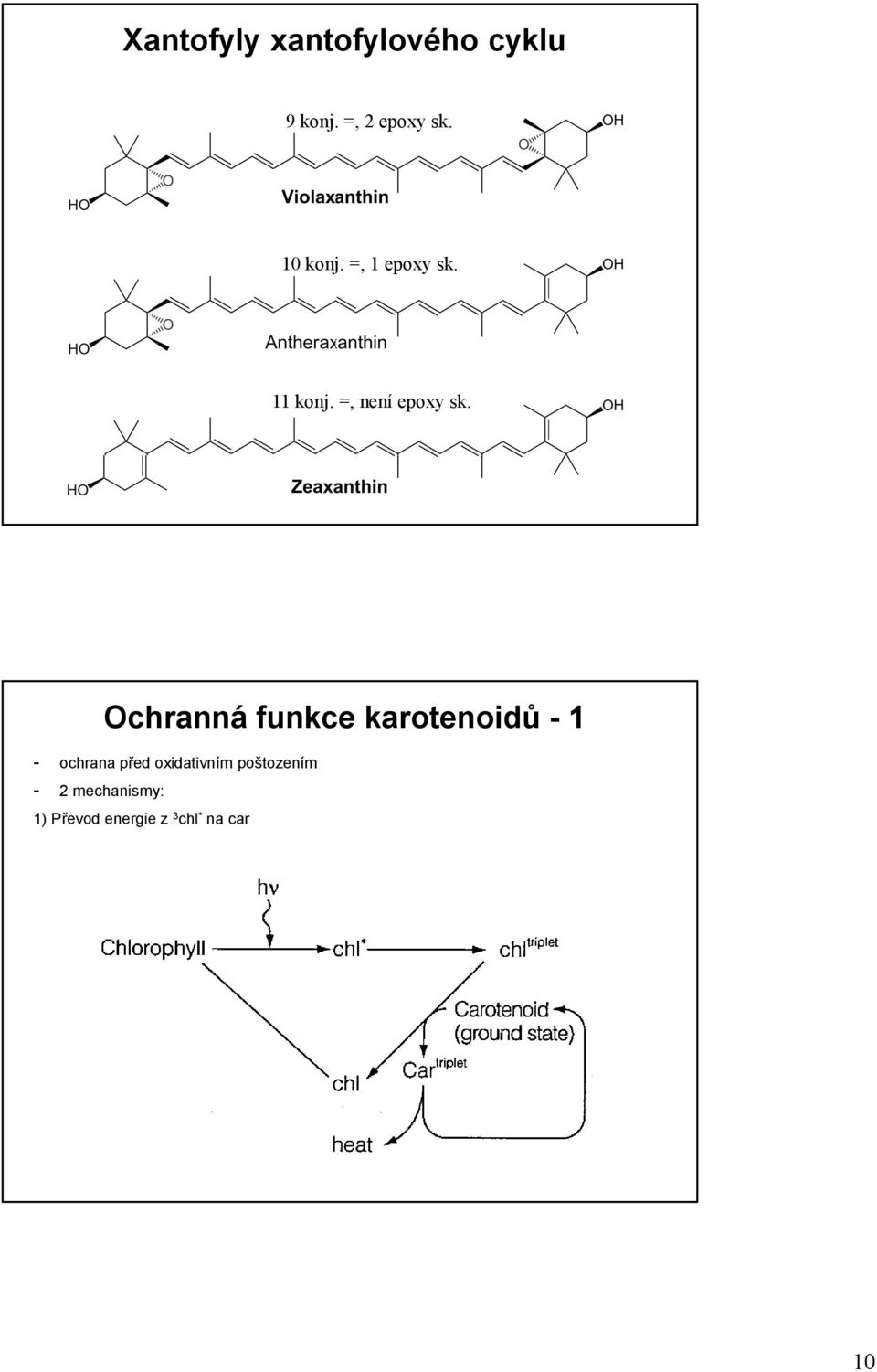 Ochranná funkce karotenoidů - - ochrana před