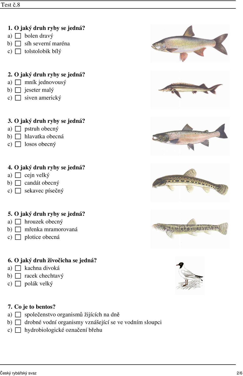 O jaký druh ryby se jedná? a) hrouzek obecný b) mřenka mramorovaná c) plotice obecná 6. O jaký druh živočicha se jedná?