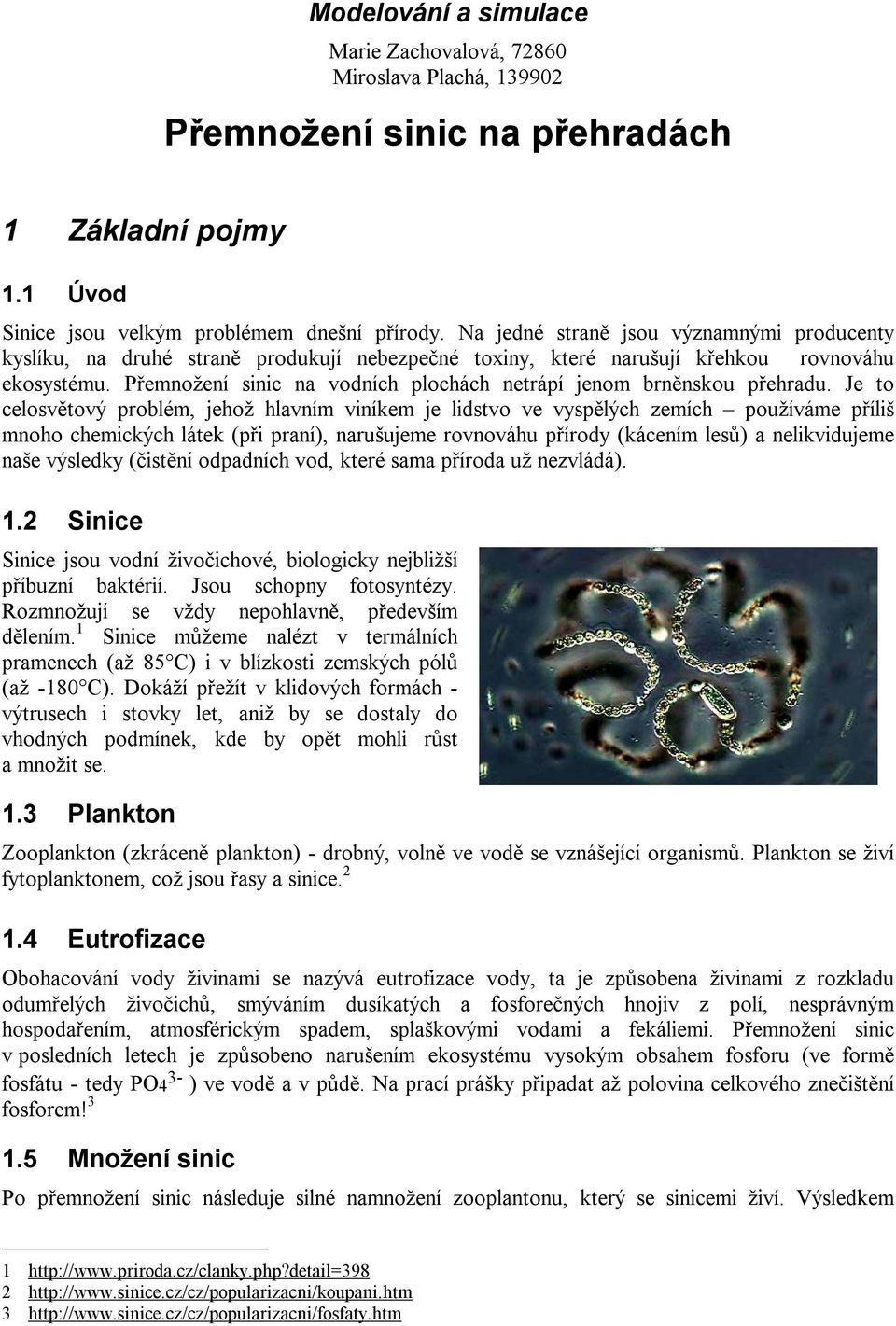 Přemnožení sinic na vodních plochách netrápí jenom brněnskou přehradu.