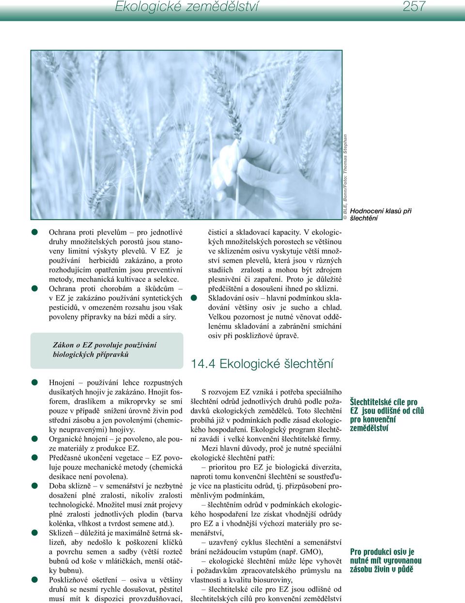 Ochrana proti chorobám a škůdcům v EZ je zakázáno používání syntetických pesticidů, v omezeném rozsahu jsou však povoleny přípravky na bázi mědi a síry.