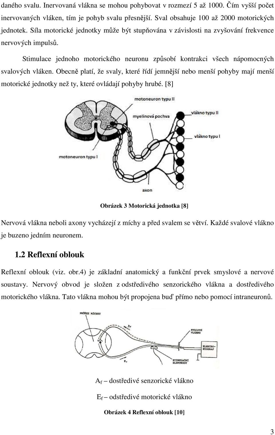 Obecně platí, že svaly, které řídí jemnější nebo menší pohyby mají menší motorické jednotky než ty, které ovládají pohyby hrubé.