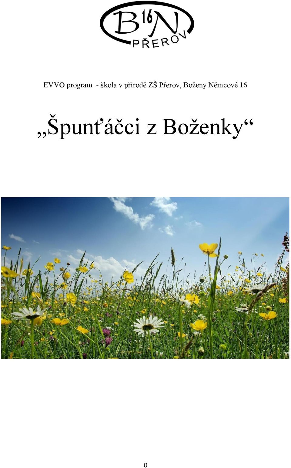 Boženy Němcové 16