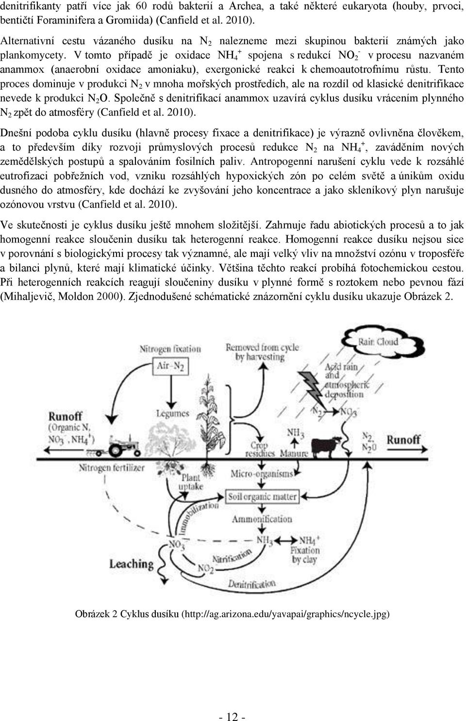 V tomto případě je oxidace NH 4 spojena s redukcí NO 2 v procesu nazvaném anammox (anaerobní oxidace amoniaku), exergonické reakci k chemoautotrofnímu růstu.