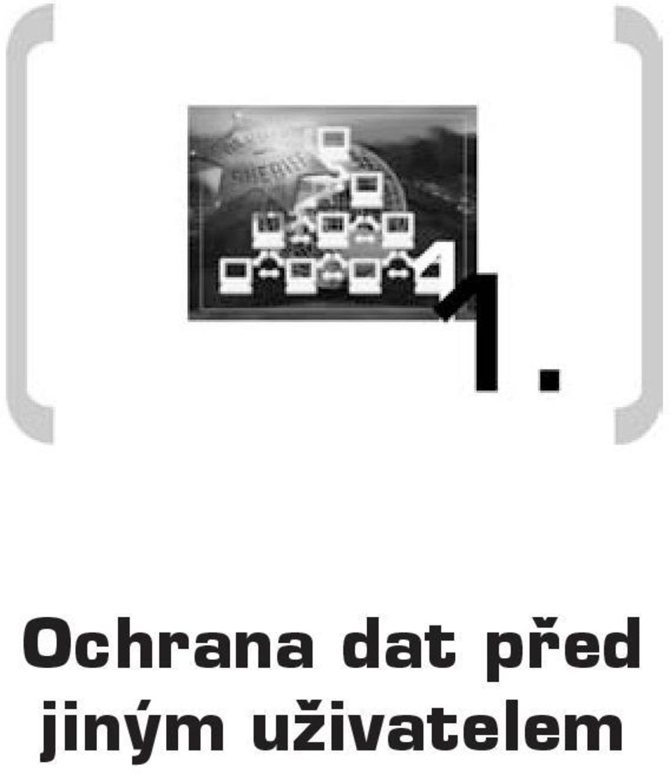 jiným