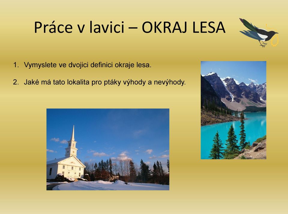 okraje lesa. 2.