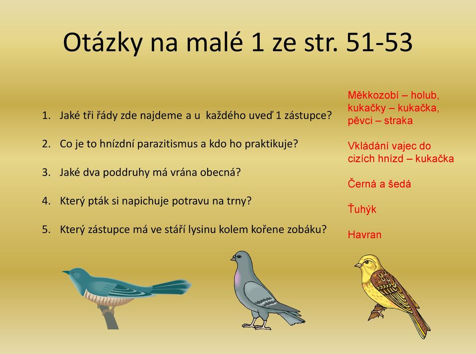 Který pták si napichuje potravu na trny? 5. Který zástupce má ve stáří lysinu kolem kořene zobáku?