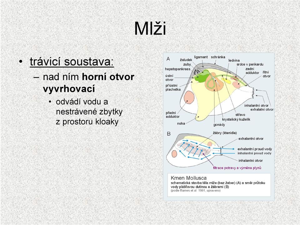 vyvrhovací odvádí vodu a