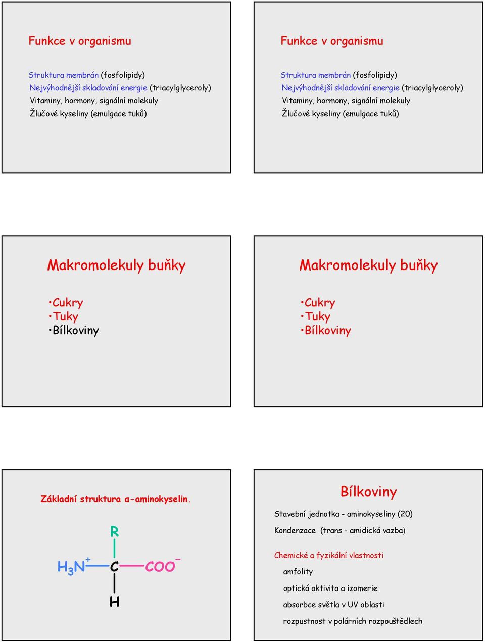 (triacylglyceroly) Vitaminy, hormony, signální molekuly Žlučové kyseliny (emulgace tuků) Makromolekuly buňky Makromolekuly buňky ukry
