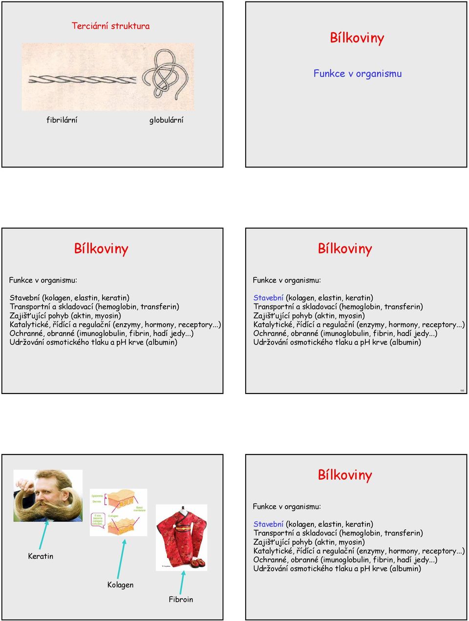 ..) Udržování osmotického tlaku a p krve (albumin) Funkce v organismu: Stavební (kolagen, elastin, keratin) Transportní a skladovací (hemoglobin, transferin) Zajišťující pohyb (aktin, .