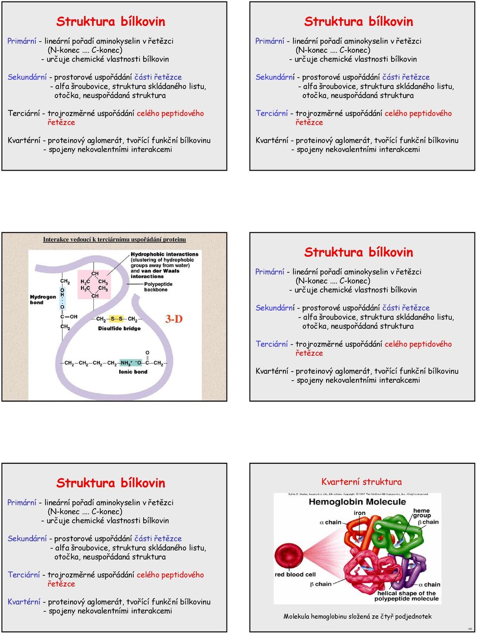 uspořádání celého peptidového řetězce Kvartérní proteinový aglomerát, tvořící funkční bílkovinu spojeny nekovalentními interakcemi  uspořádání celého peptidového řetězce Kvartérní proteinový