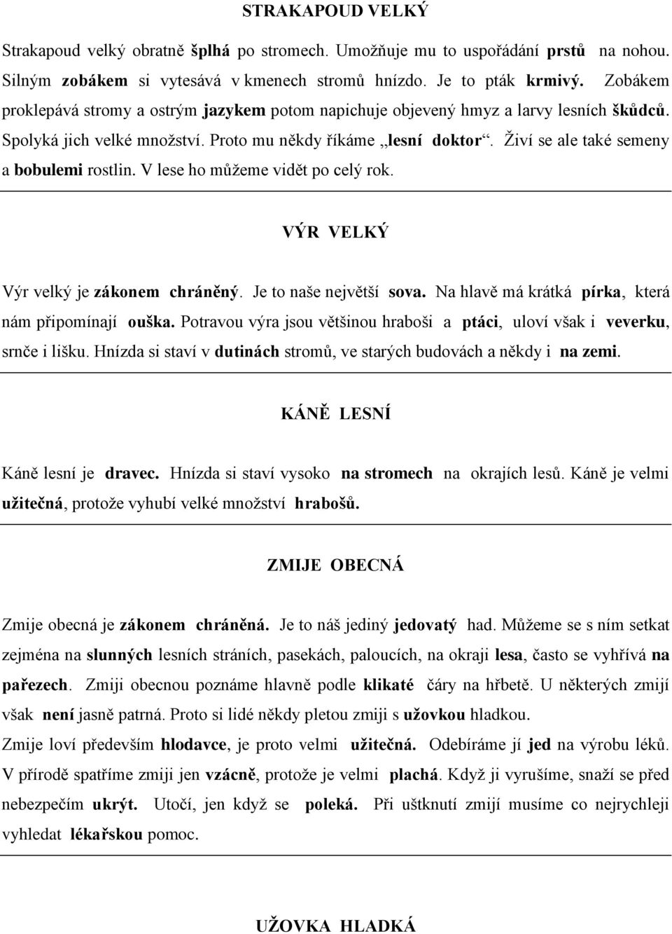 Živí se ale také semeny a bobulemi rostlin. V lese ho můžeme vidět po celý rok. VÝR VELKÝ Výr velký je zákonem chráněný. Je to naše největší sova.