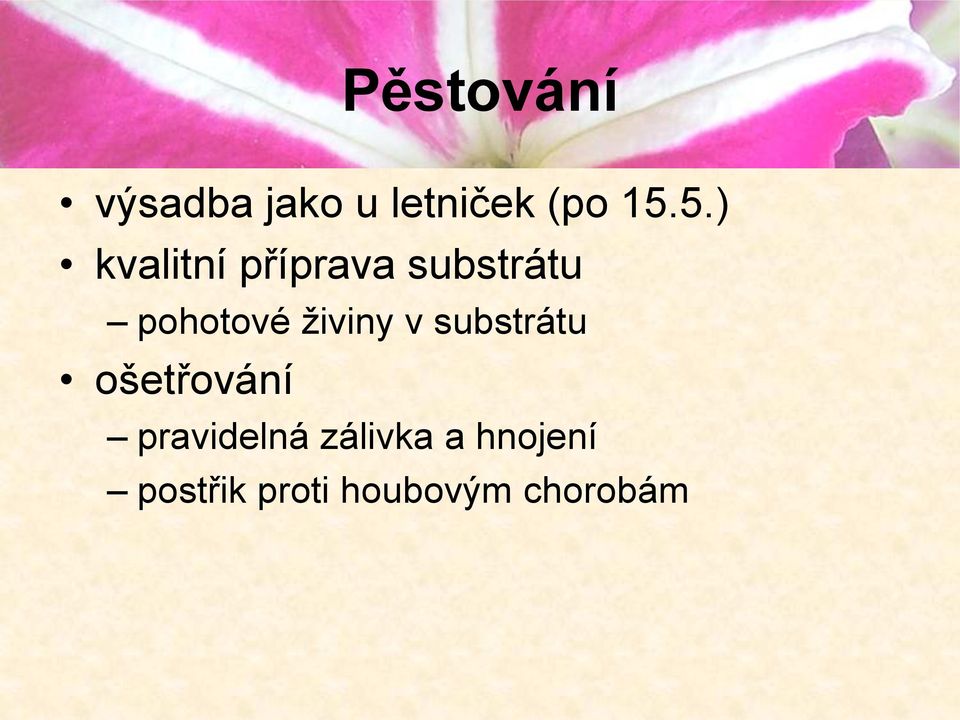 živiny v substrátu ošetřování pravidelná