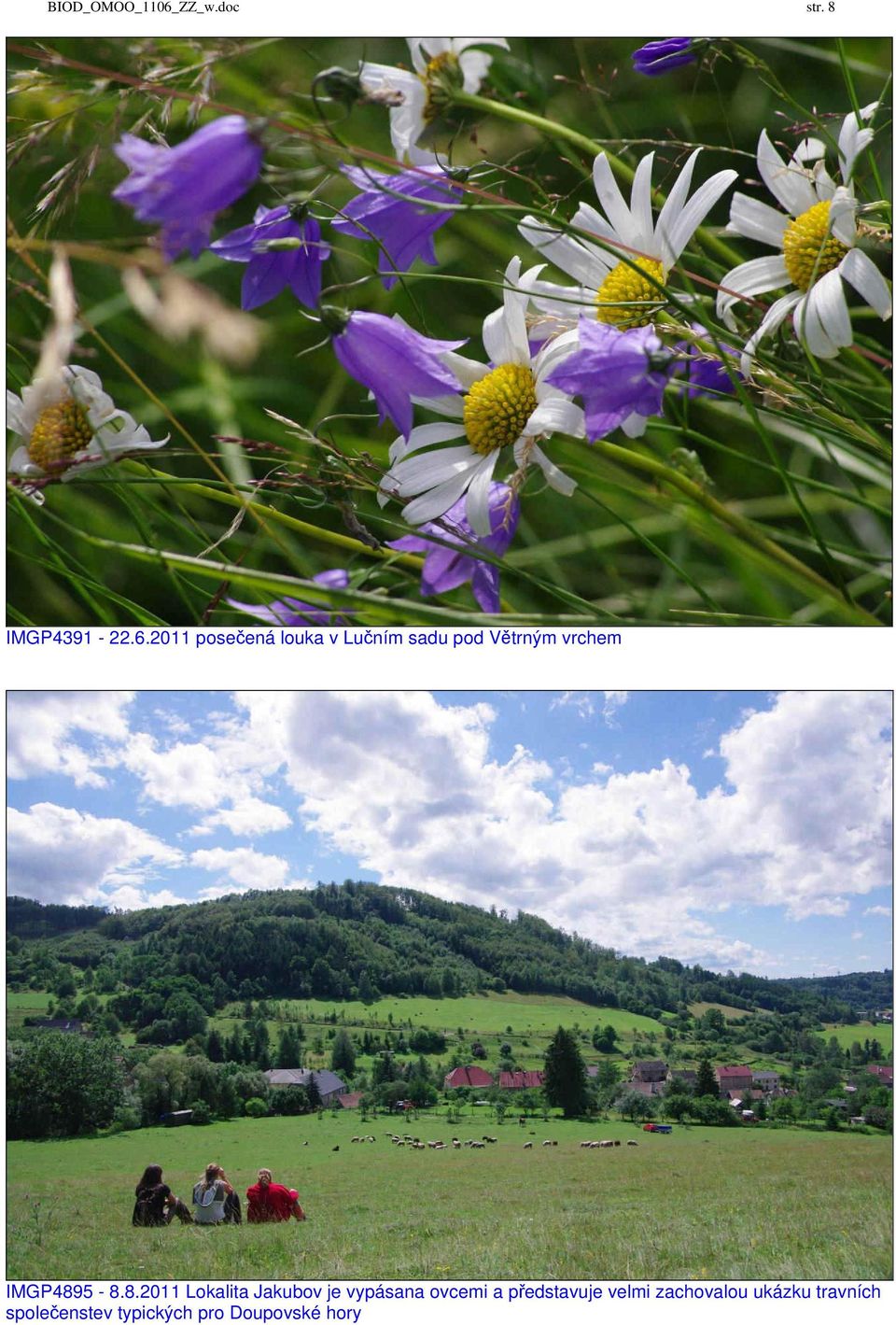 2011 posečená louka v Lučním sadu pod Větrným vrchem