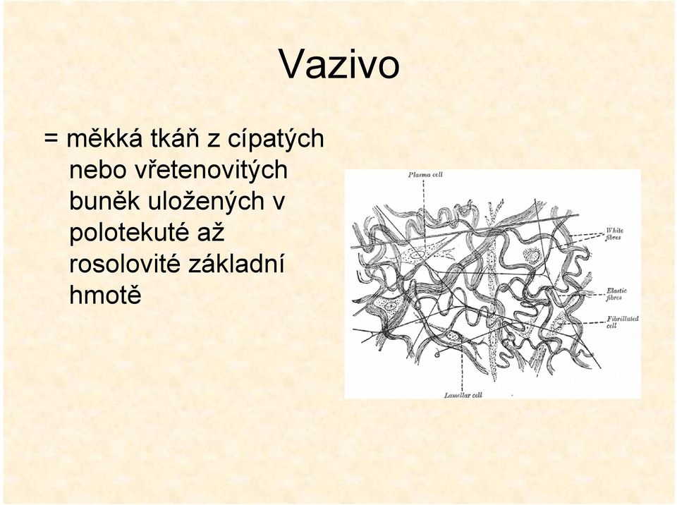 uložených v polotekuté až