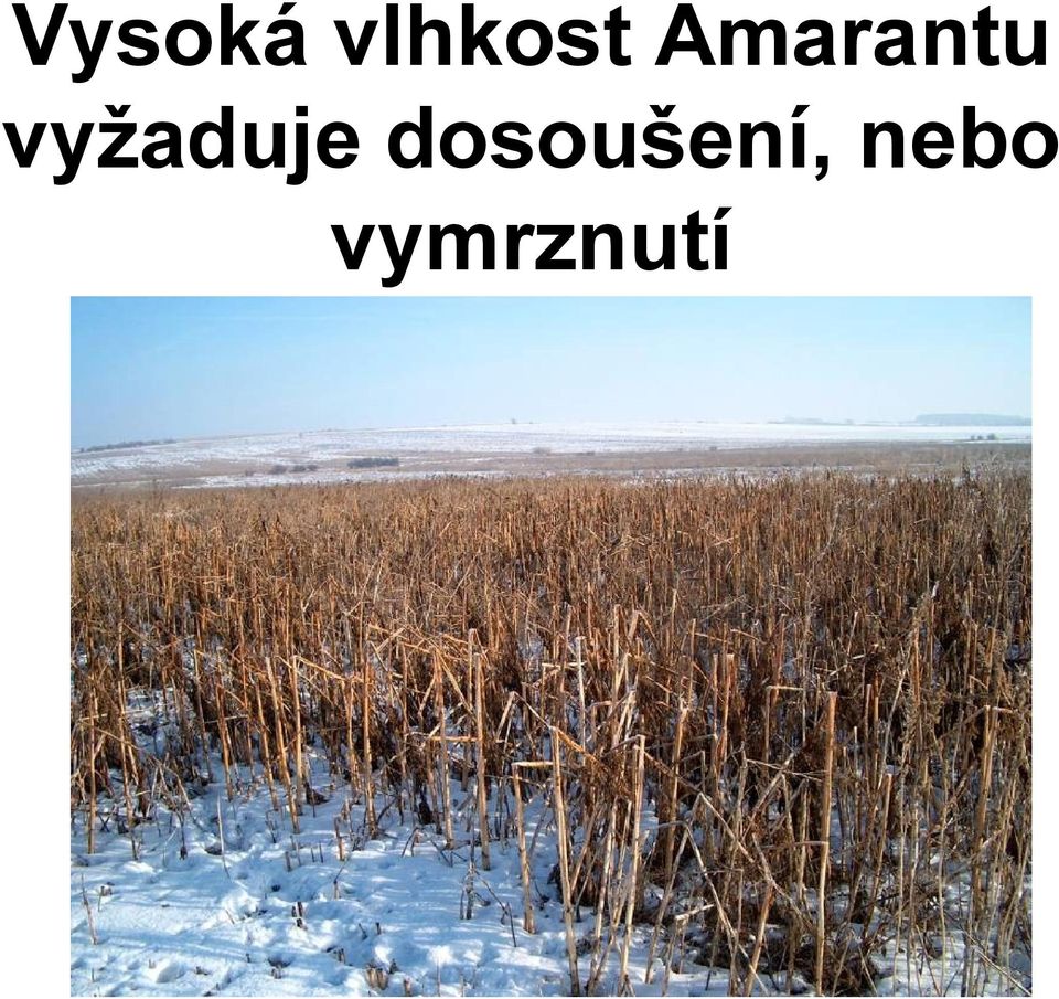 vyžaduje