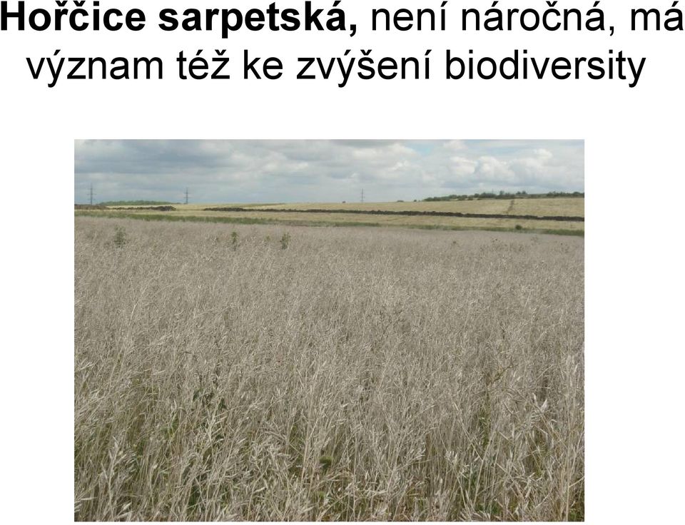náročná, má