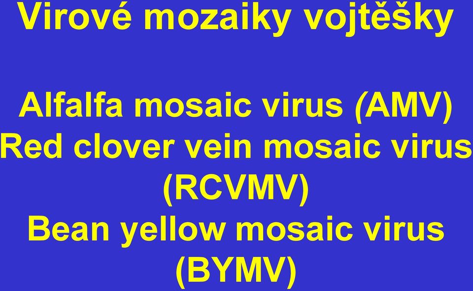 Red clover vein mosaic virus