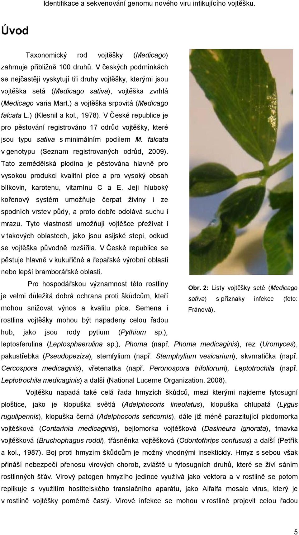 ) (Klesnil a kol., 1978). V České republice je pro pěstování registrováno 17 odrůd vojtěšky, které jsou typu sativa s minimálním podílem M. falcata v genotypu (Seznam registrovaných odrůd, 2009).