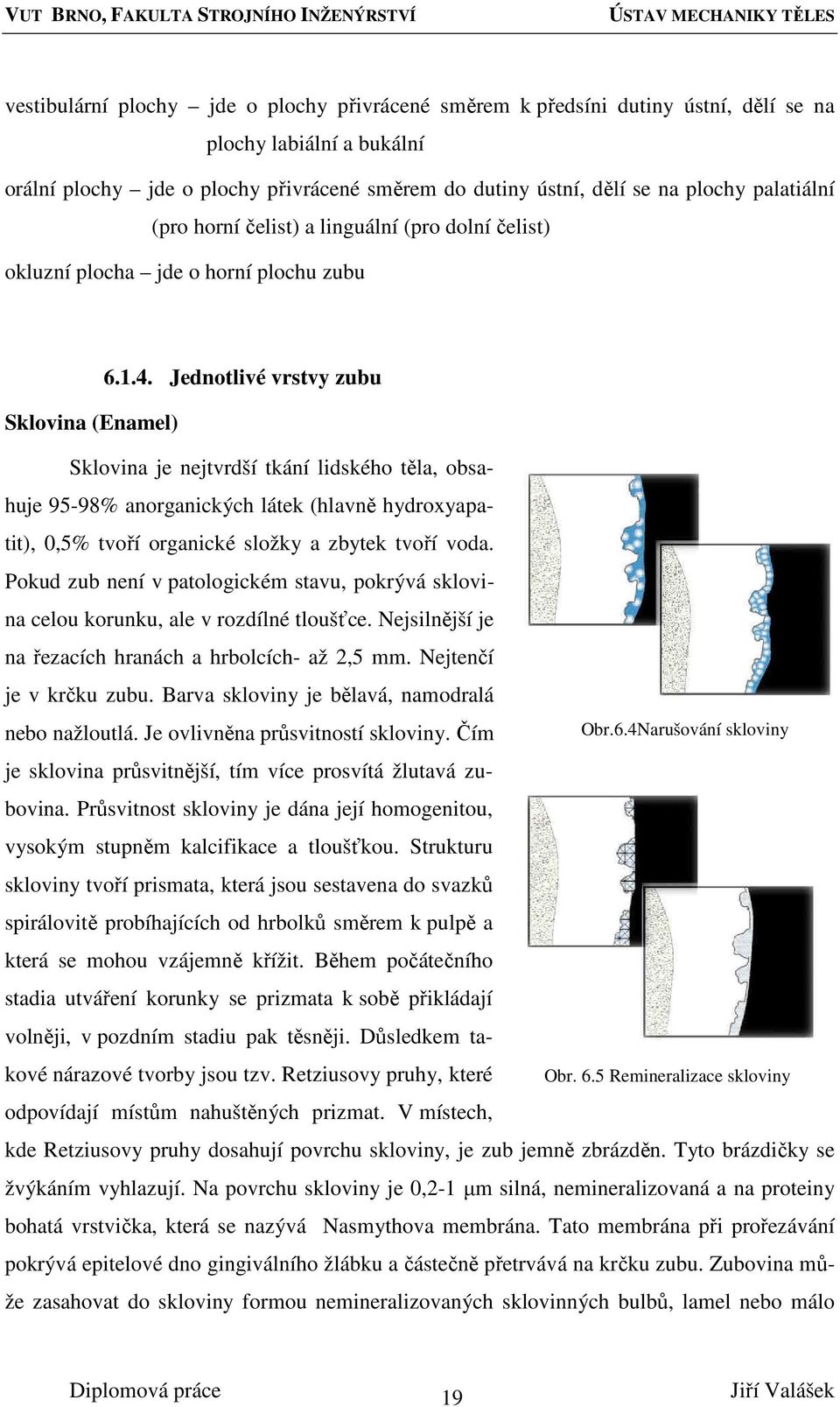 Jednotlivé vrstvy zubu Sklovina (Enamel) Sklovina je nejtvrdší tkání lidského těla, obsahuje 95-98% anorganických látek (hlavně hydroxyapatit), 0,5% tvoří organické složky a zbytek tvoří voda.