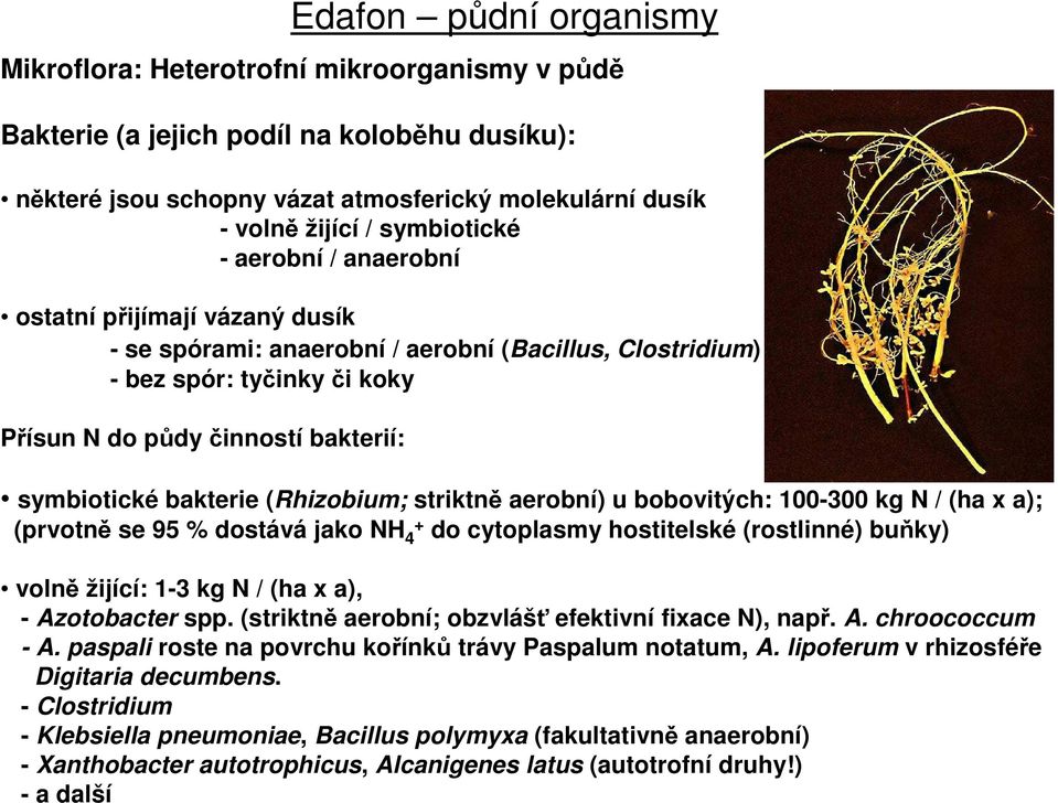 Edafon půdní organismy - PDF Free Download