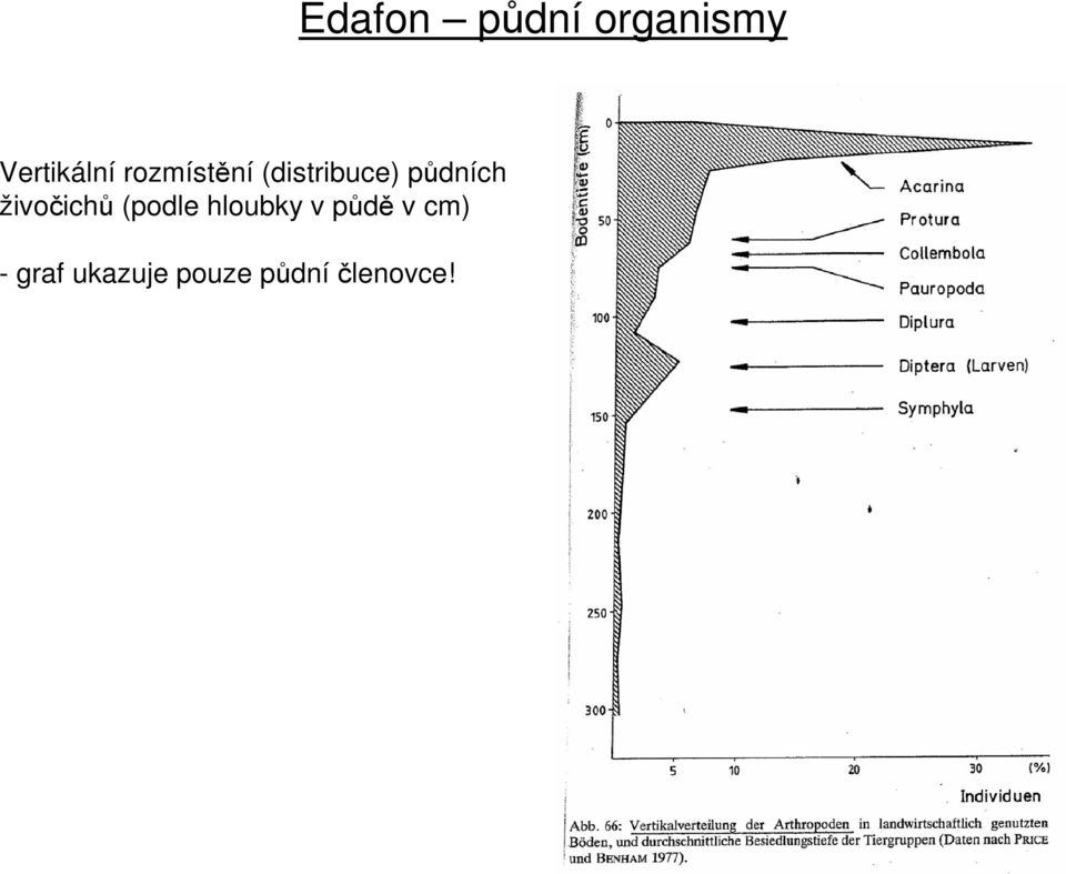 živočichů (podle hloubky v
