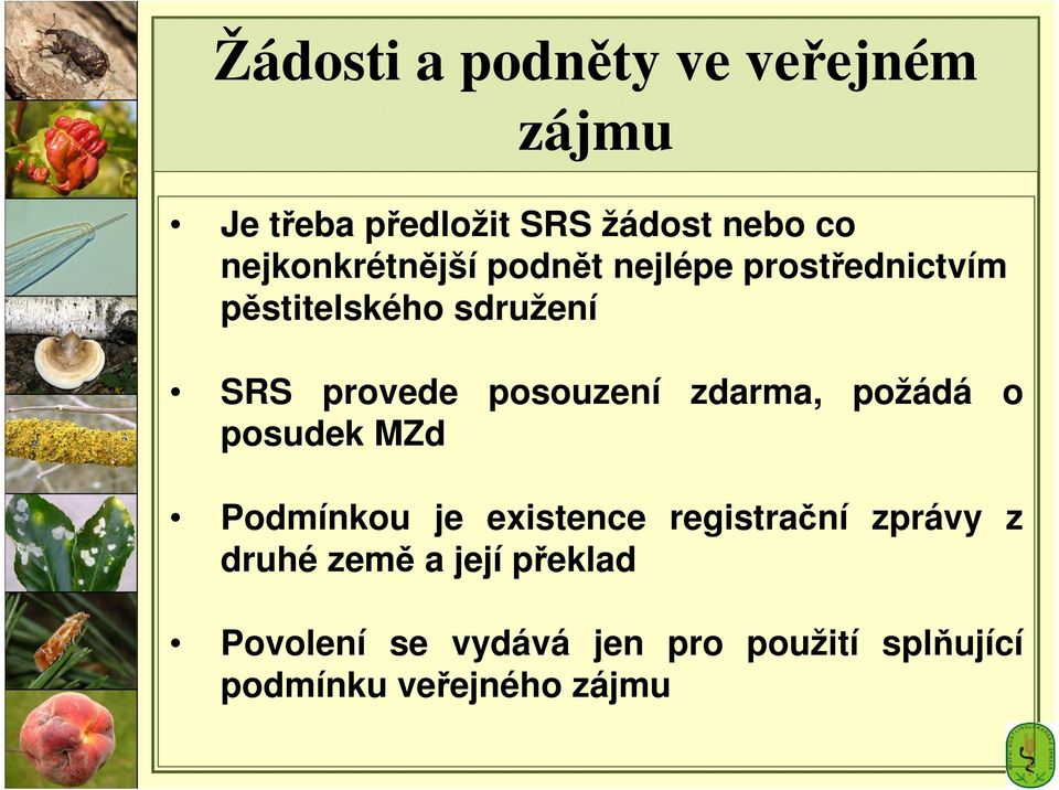 posouzení zdarma, požádá o posudek MZd Podmínkou je existence registrační zprávy z