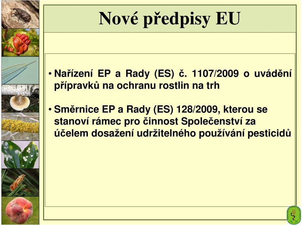 Směrnice EP a Rady (ES) 128/2009, kterou se stanoví rámec