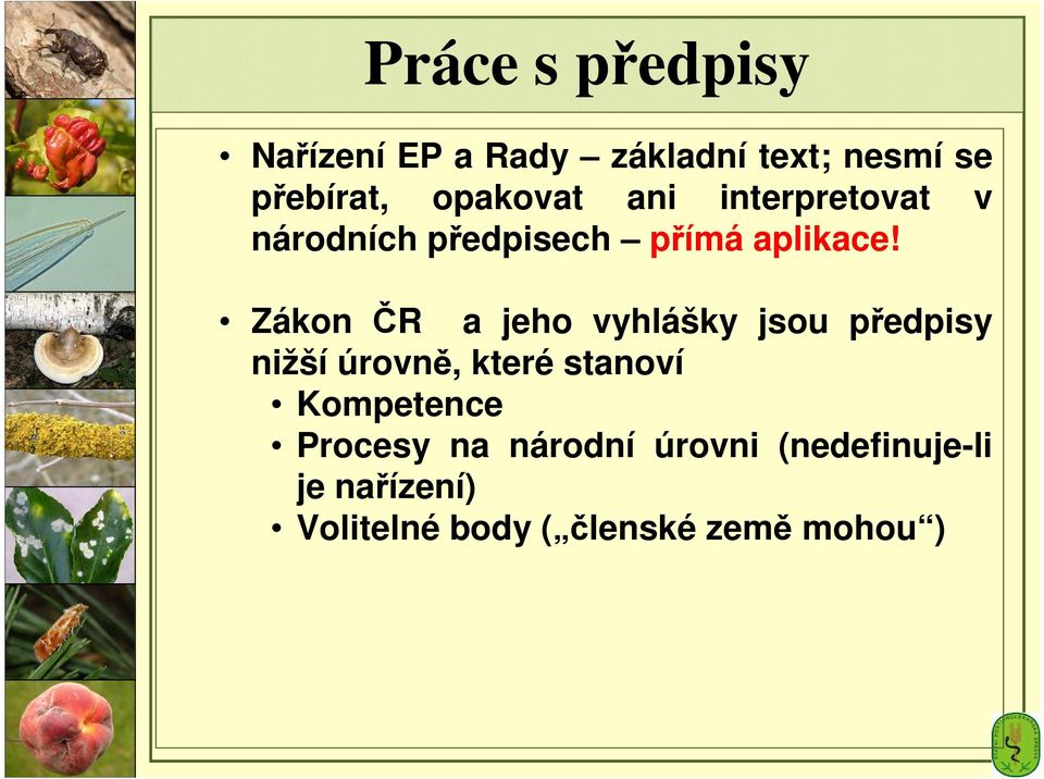 Zákon ČR a jeho vyhlášky jsou předpisy nižší úrovně, které stanoví