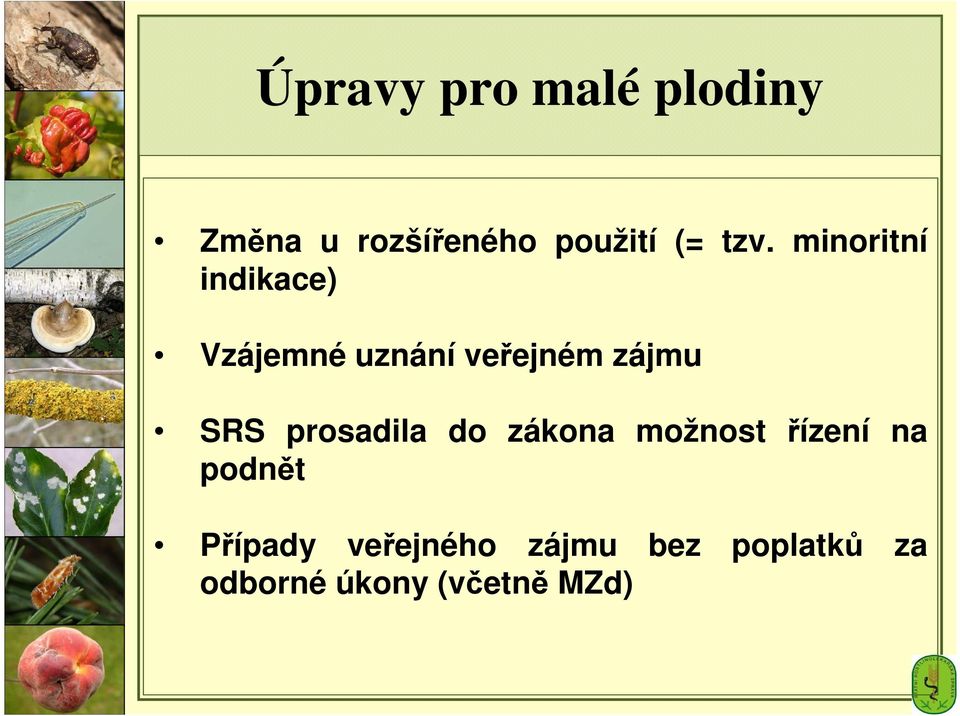 SRS prosadila do zákona možnost řízení na podnět Případy