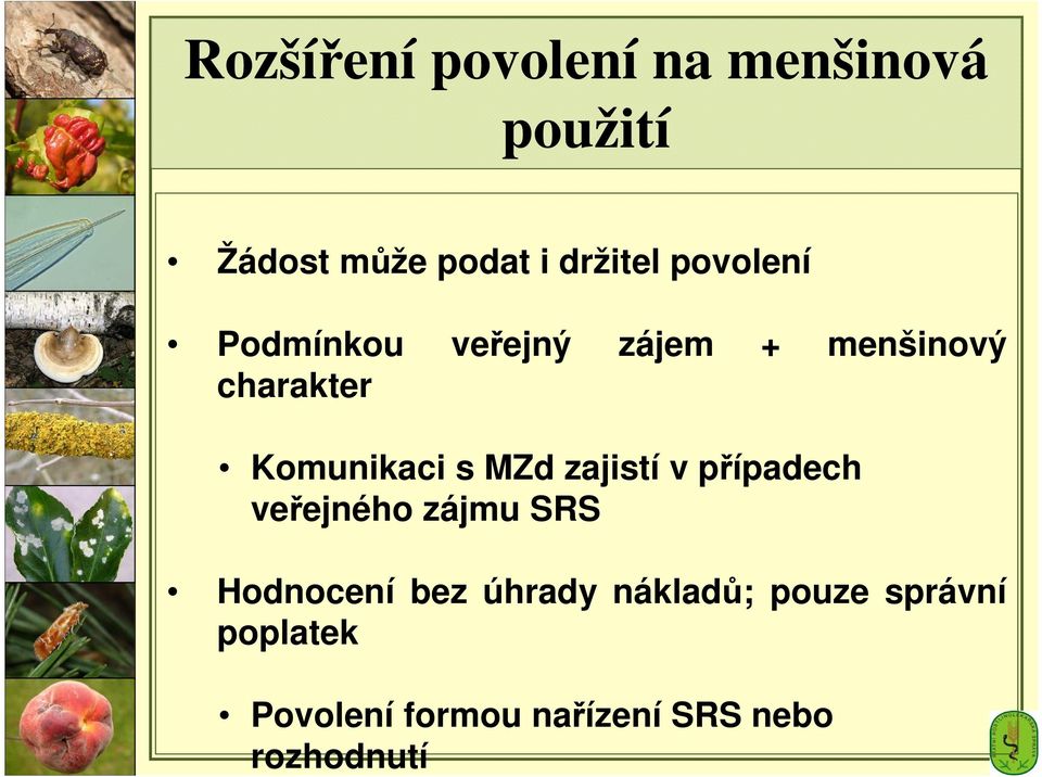 MZd zajistí v případech veřejného zájmu SRS Hodnocení bez úhrady