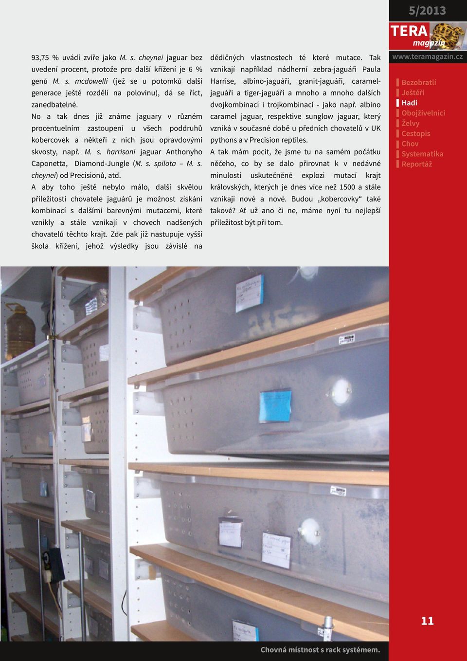 s. spilota M. s. cheynei) od Precisionů, atd.