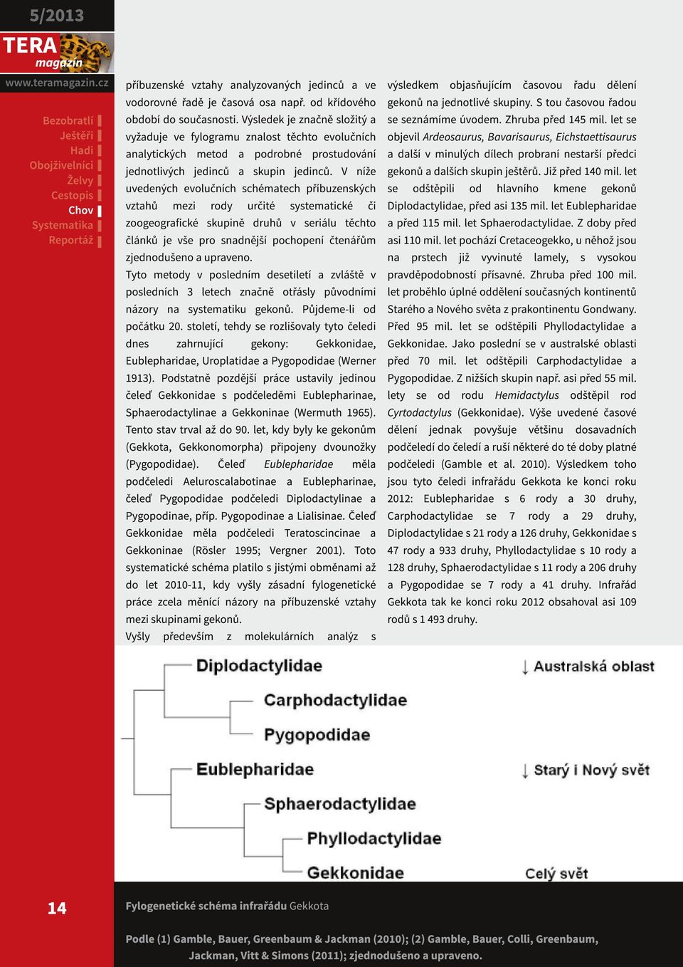 V níže uvedených evolučních schématech příbuzenských vztahů mezi rody určité systematické či zoogeografické skupině druhů v seriálu těchto článků je vše pro snadnější pochopení čtenářům zjednodušeno