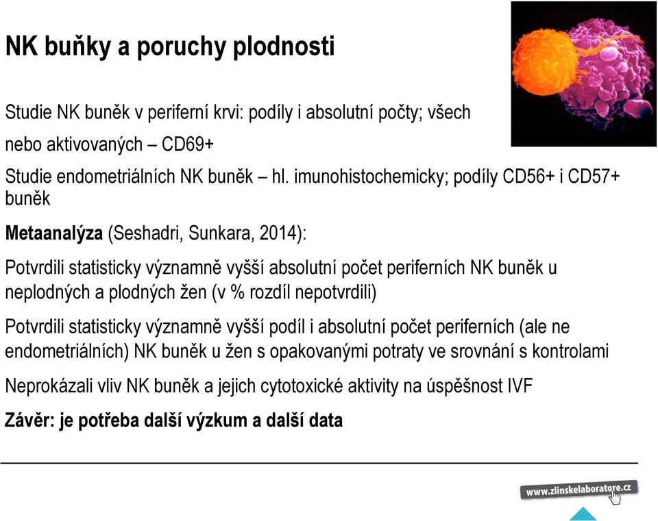 u neplodných a plodných žen (v % rozdíl nepotvrdili) Potvrdili statisticky významně vyšší podíl i absolutní počet periferních (ale ne endometriálních) NK buněk