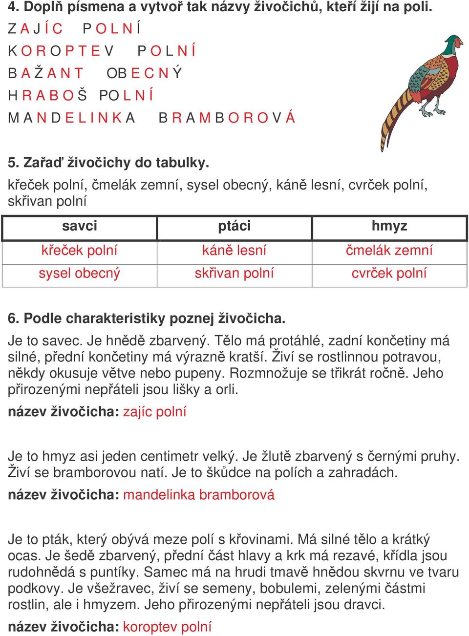 Podle charakteristiky poznej živoicha. Je to savec. Je hnd zbarvený. Tlo má protáhlé, zadní konetiny má silné, pední konetiny má výrazn kratší.