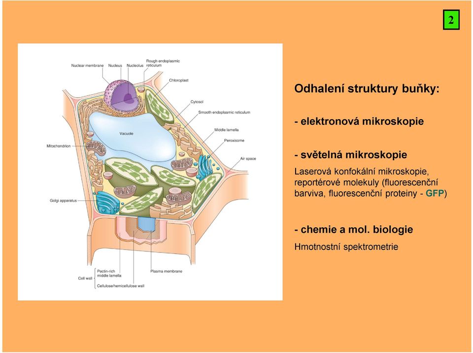 reportérové molekuly (fluorescenční barviva, fluorescenční