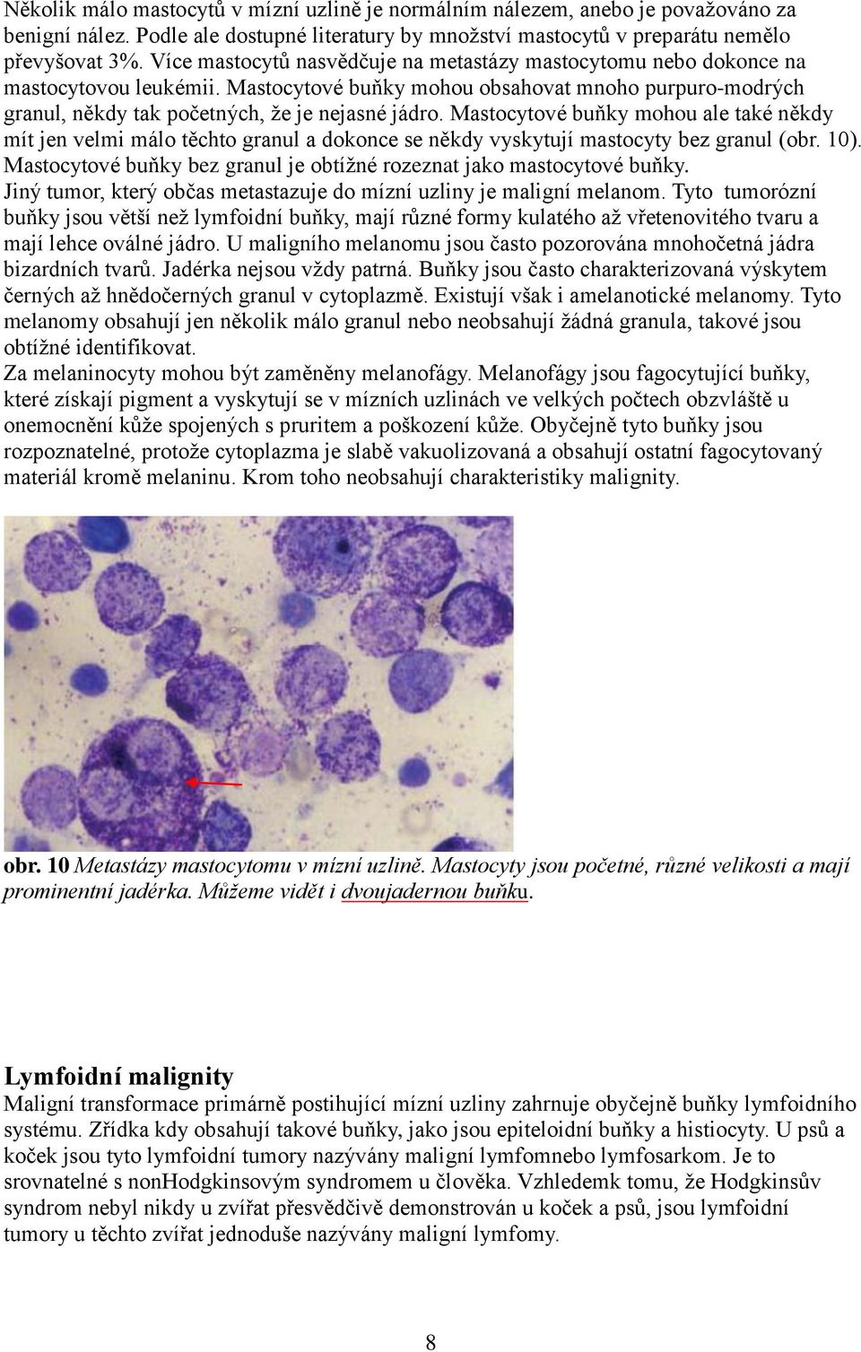Mastocytové buňky mohou ale také někdy mít jen velmi málo těchto granul a dokonce se někdy vyskytují mastocyty bez granul (obr. 10).
