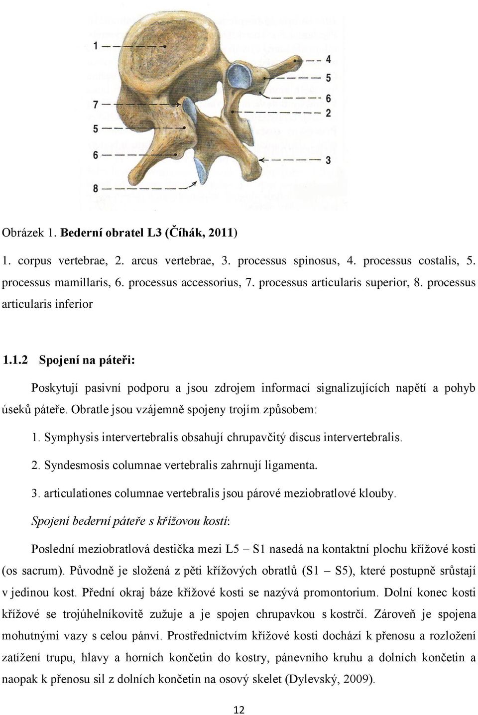 Obratle jsou vzájemně spojeny trojím způsobem: 1. Symphysis intervertebralis obsahují chrupavčitý discus intervertebralis. 2. Syndesmosis columnae vertebralis zahrnují ligamenta. 3.